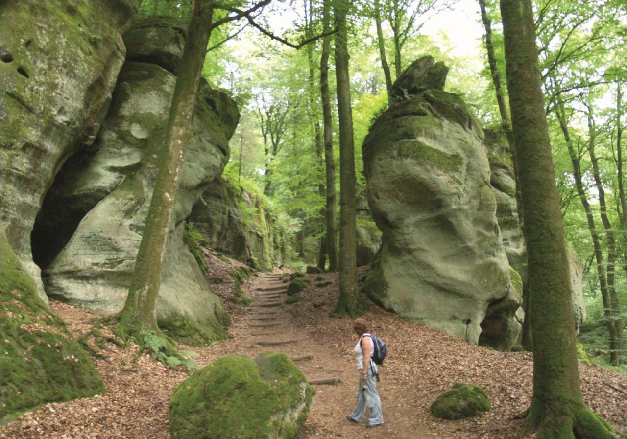 Ferienpark Eifellux Korperich Kültér fotó