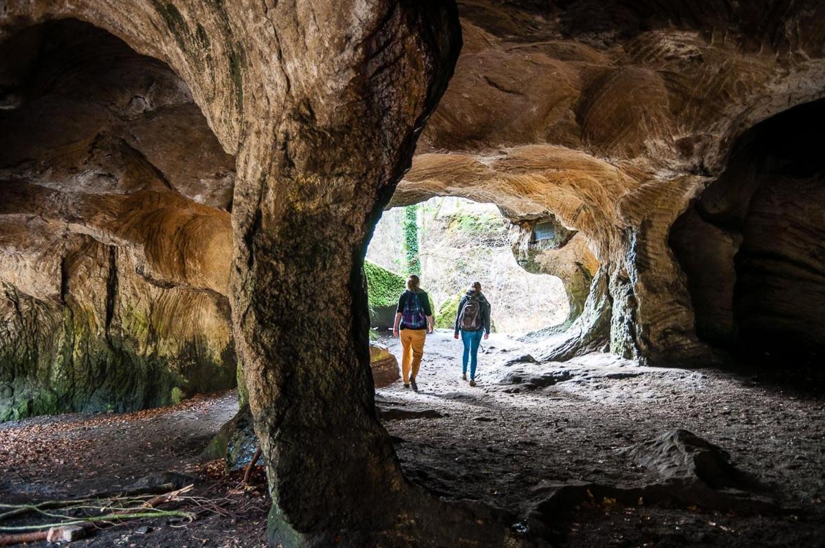 Ferienpark Eifellux Korperich Kültér fotó