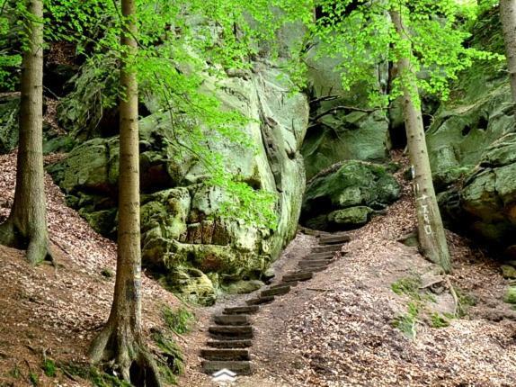 Ferienpark Eifellux Korperich Kültér fotó